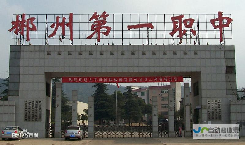 郴州专业网站建设服务：从设计到推广，全方位满足您的企业网络需求！