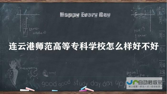 连云港专业SEO服务：精准定位客户，助力企业业绩增长
