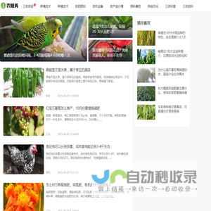 找个DJ网站
